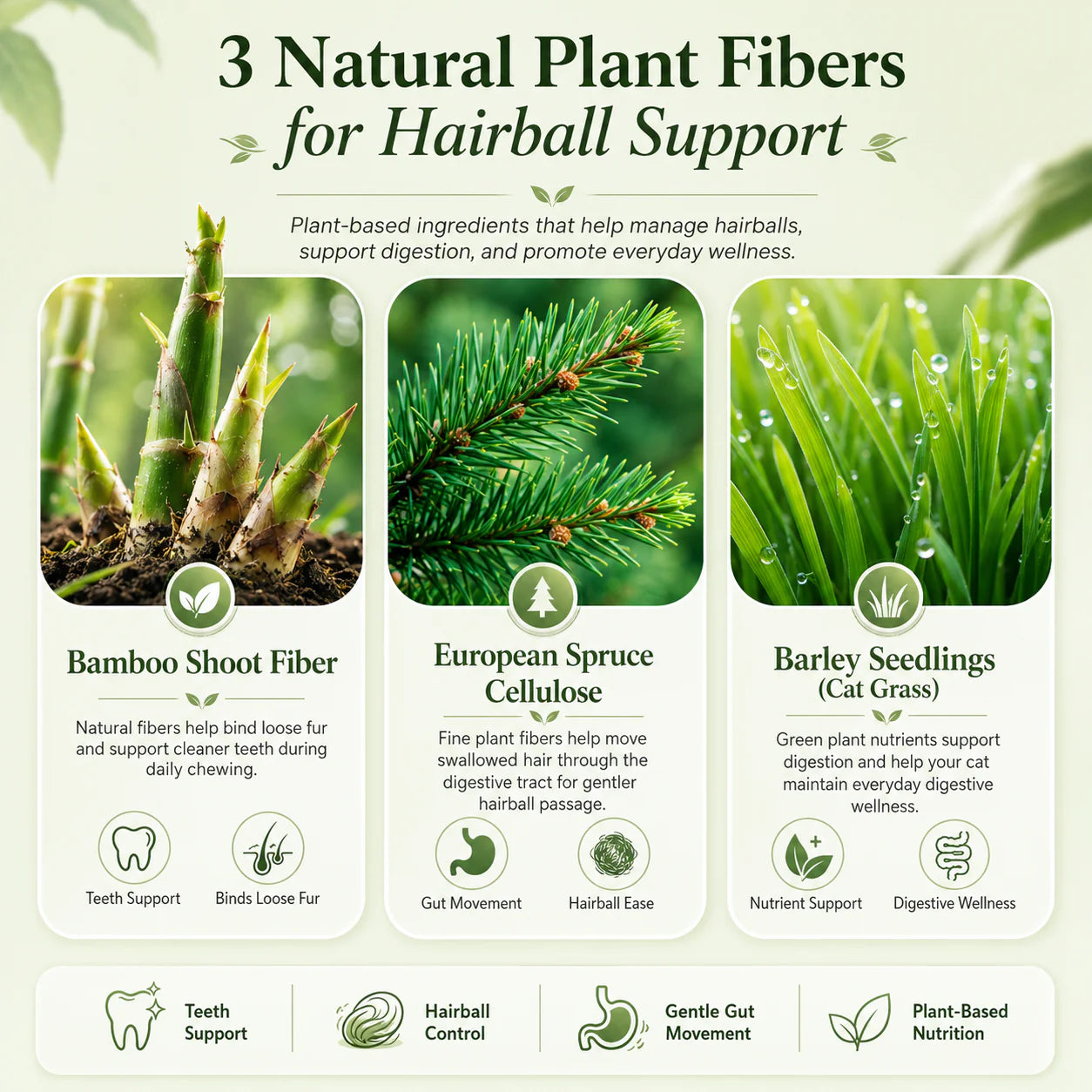 Osara™ FurRelief